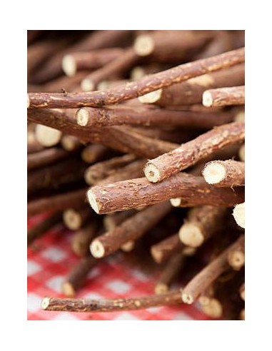 Glycyrrhiza glabra, regaliz