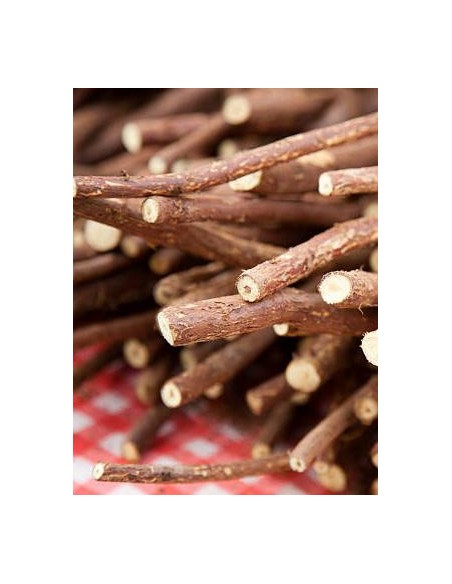 Glycyrrhiza glabra, regaliz