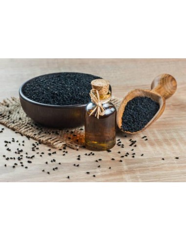 Comino negro, Nigella sativa