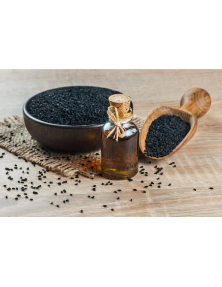 Comino negro, Nigella sativa