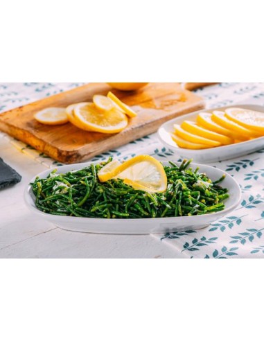Espárrago marino, Salicornia Europea
