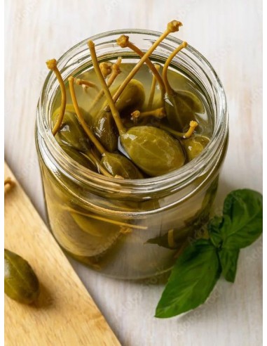 Alcaparra, Capparis spinosa